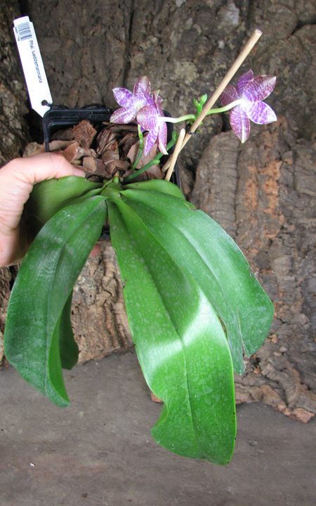 398 грн