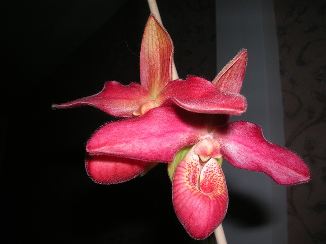 21. 17.04.14аа.JPG