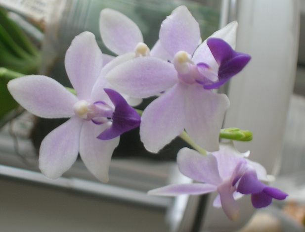 39. 01.02.14гг.JPG