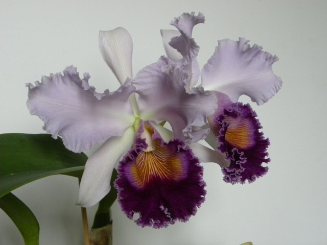 DSCN9434.JPG