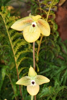 IMG_0043&#180;.jpg