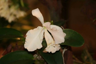 IMG_0069&#180;.jpg