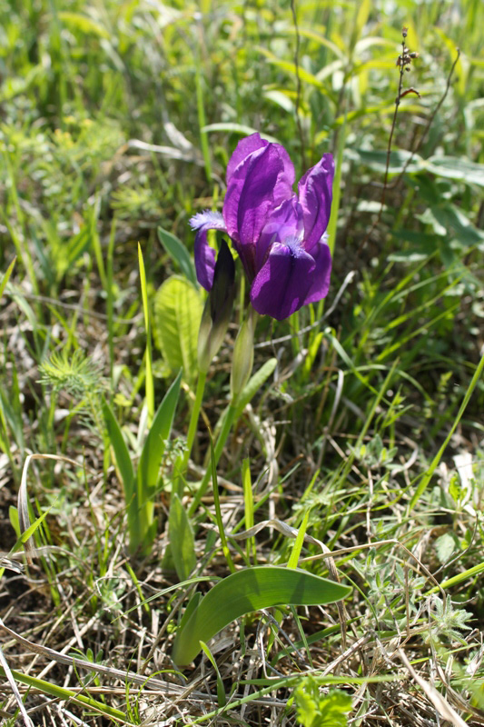 IMG_0902.JPG