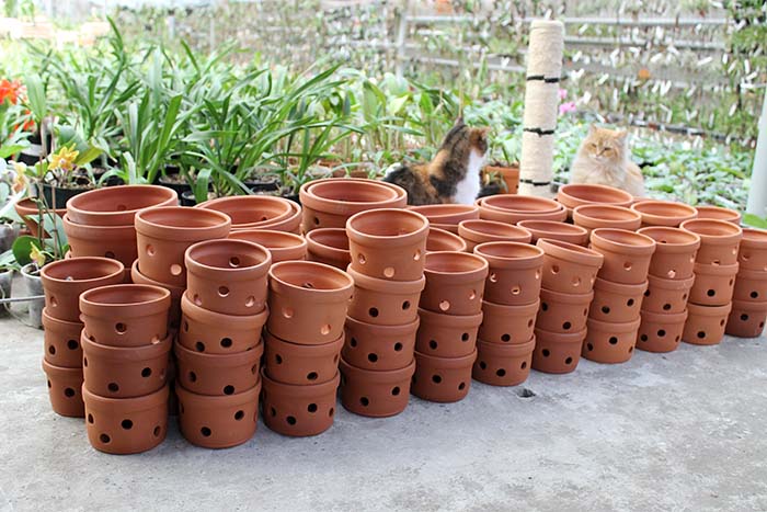 Вазоны для орхидей.jpg