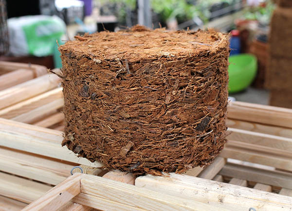 Кокосовые чипсы.jpg