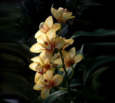 PC010147.jpg
