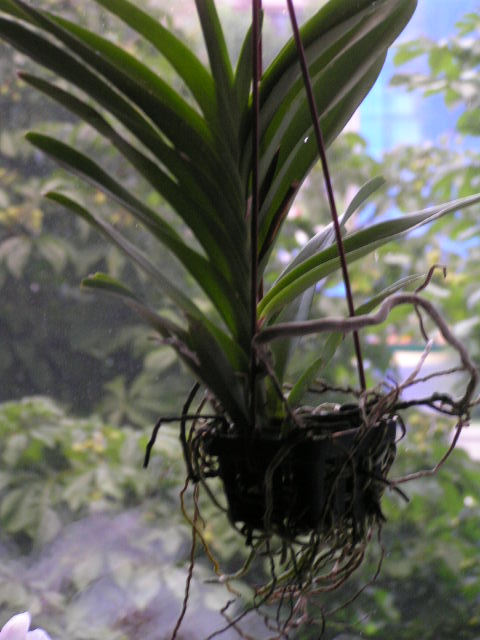 P1020079.JPG