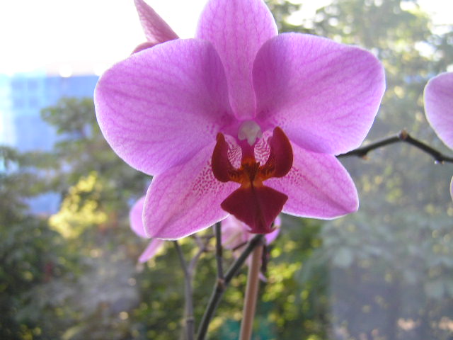 P1020008.JPG