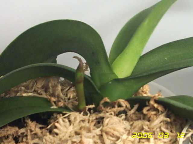 PICT0081.jpg