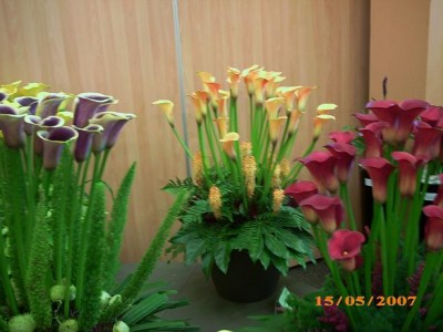 2007 023 м.JPG