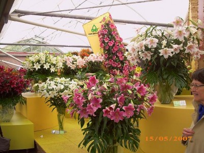 2007 062.JPG