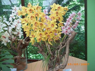 2007 099.JPG
