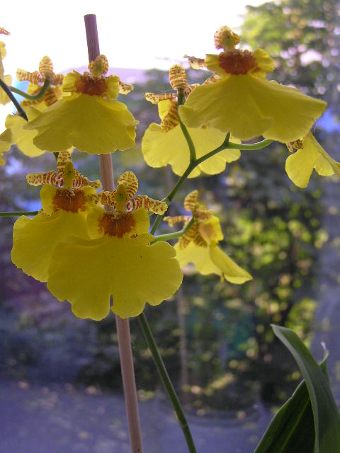P1020022.JPG