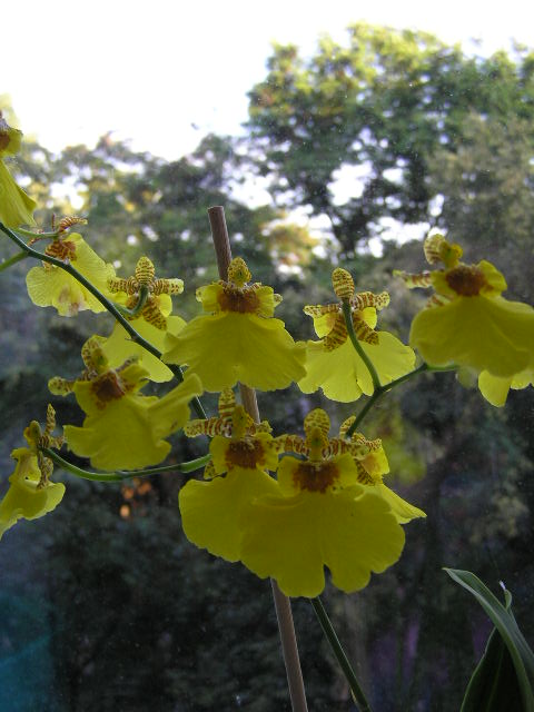 P1020048.JPG