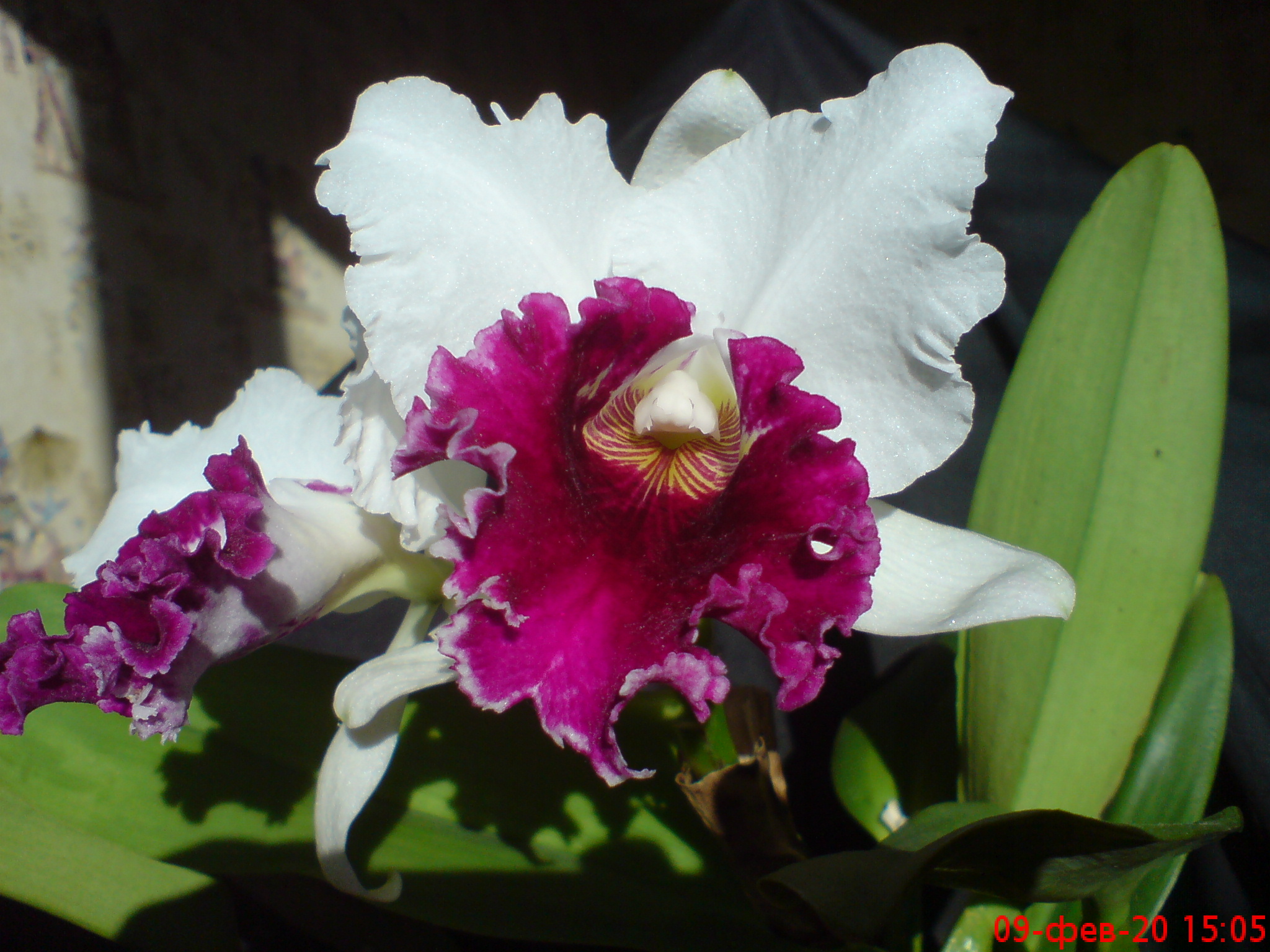 DSC00360.JPG