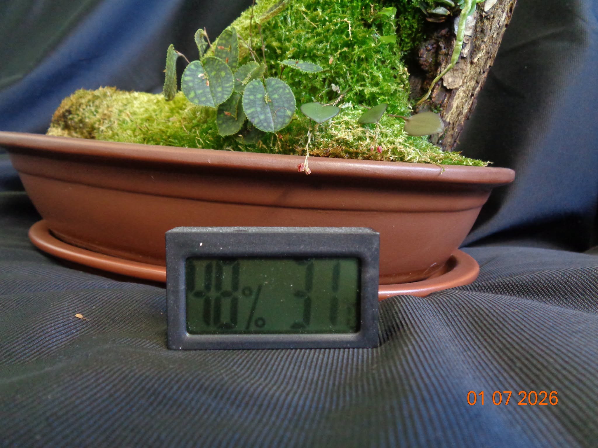 159.jpg
