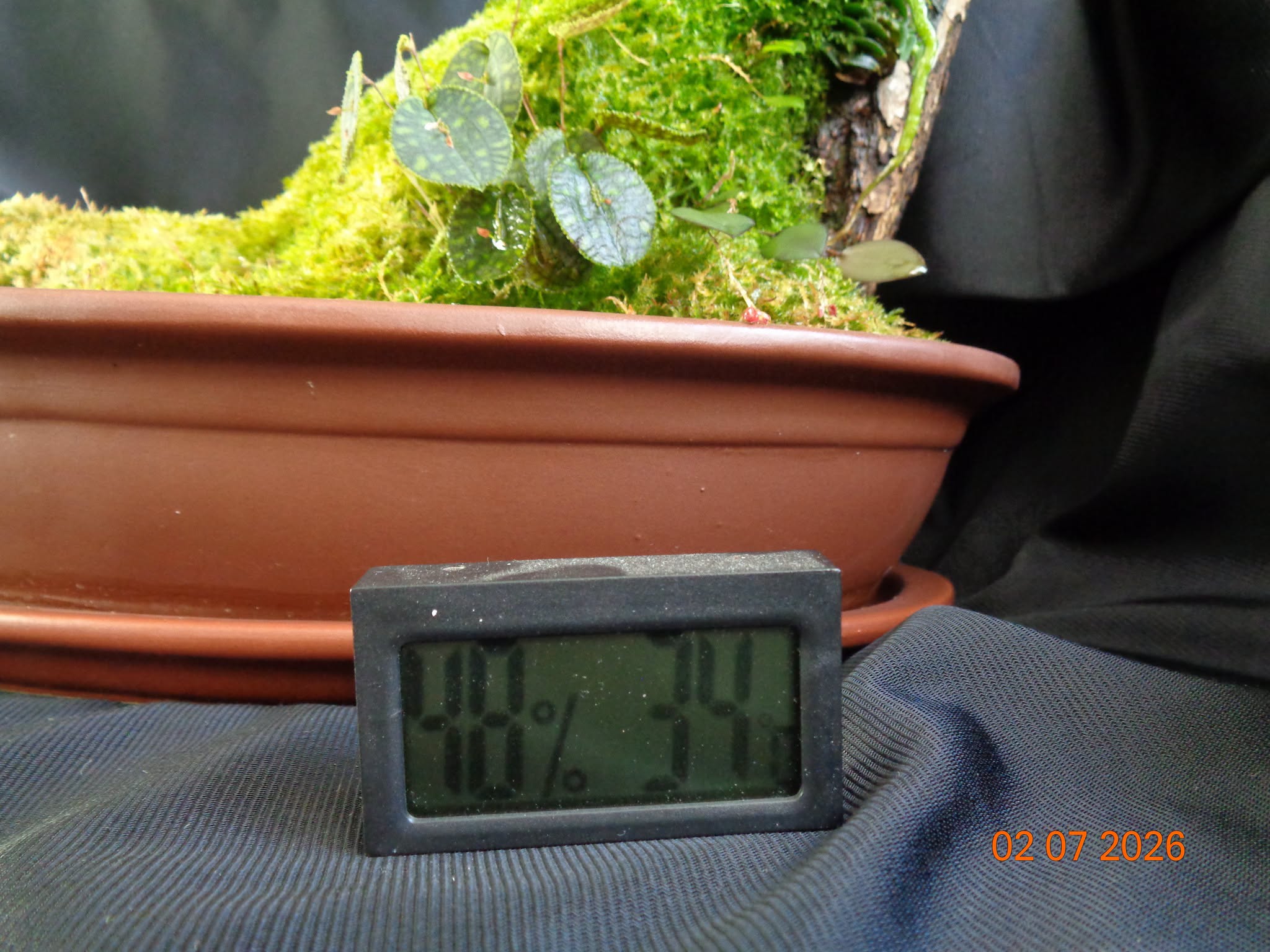 158.jpg