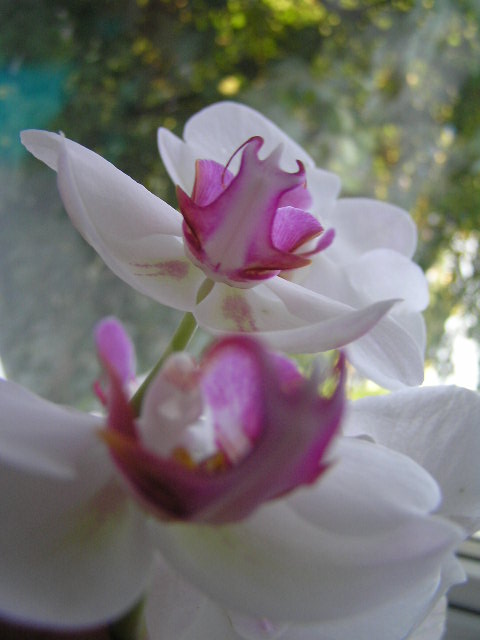 P1020070.JPG