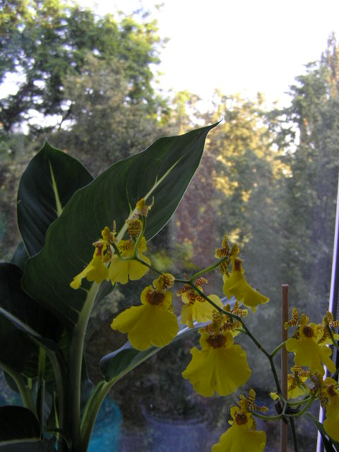 P1020049.JPG