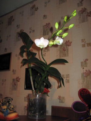 IMG_0103.jpg