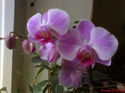 DSC00096.JPG