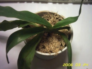 PICT0017.jpg