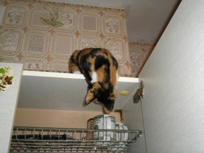 А что тут у нас стоит?