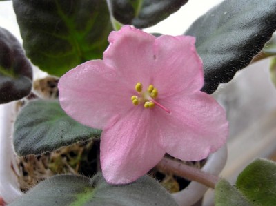 PB110016.JPG