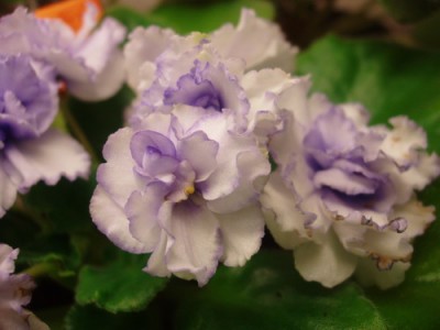 PB180010.jpg