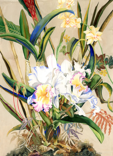 -WildCateleyaOrchid.jpg