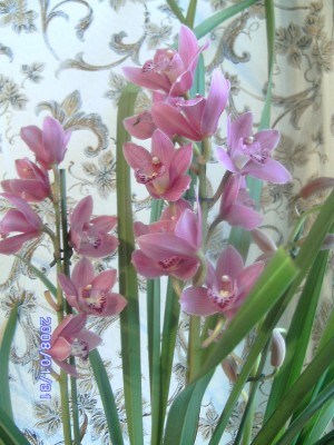 PICT0392.JPG
