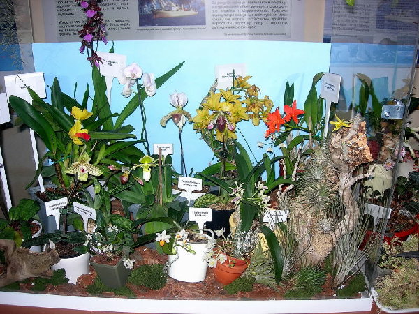 DSCN40220001.JPG