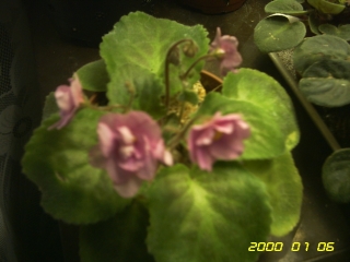 PICT0062.jpg