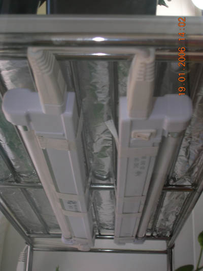 photo19.jpg