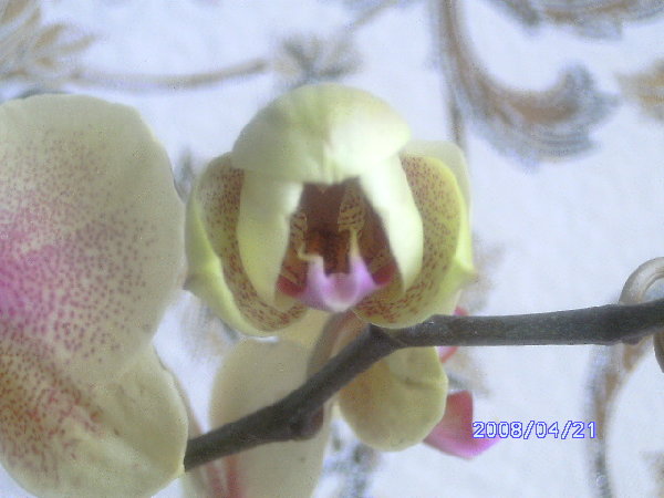 PICT0765.JPG