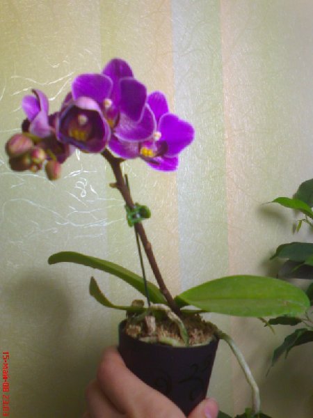 DSC00890.JPG
