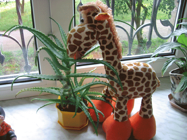 Вот теперь и стоит не голодный