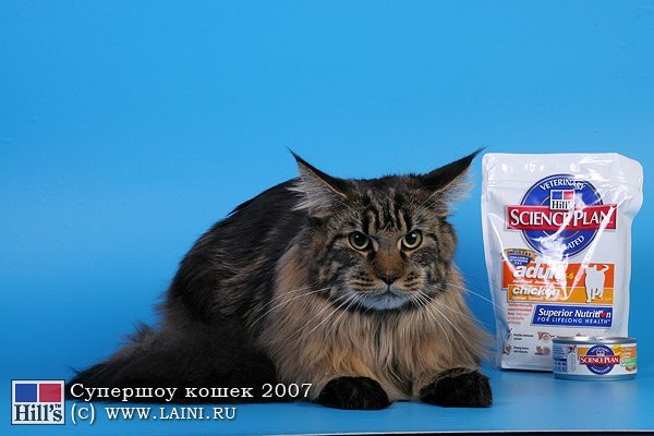 008.jpg
