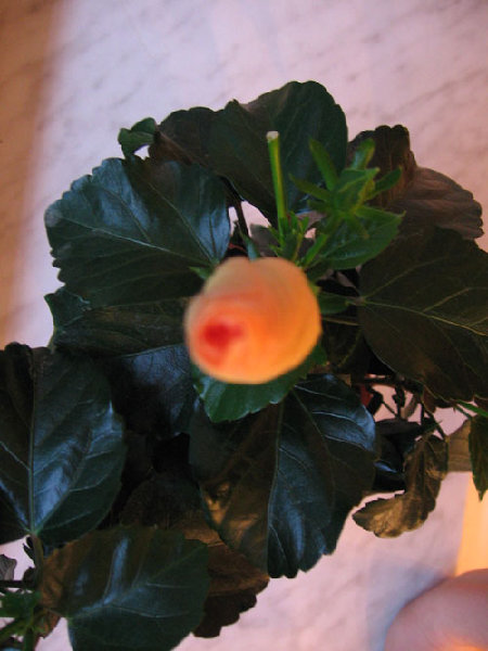 Вчера вечером, вид сверху