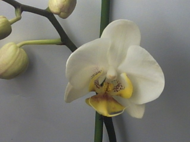 PICT0098.jpg