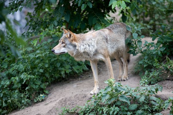 _MG_3820.jpg