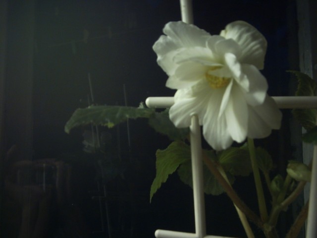 PICT0107.jpg