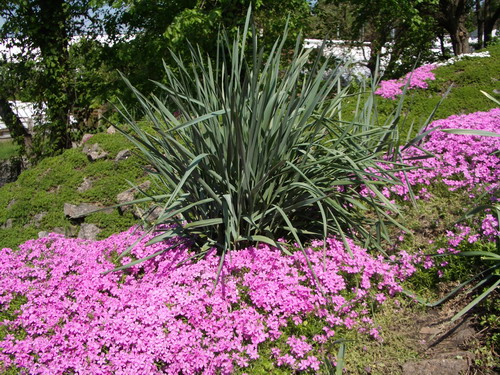 bs 04.jpg