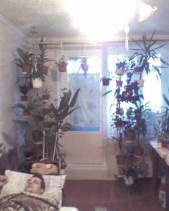 SP_A01673.jpg