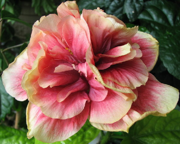 Abundant Treasure.jpg