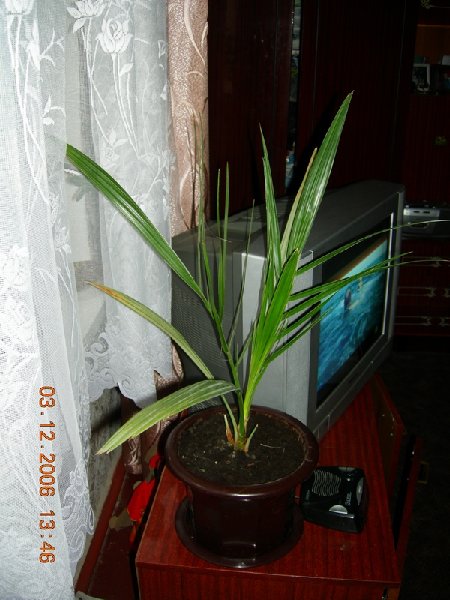 Здесь ей 2,5 года.