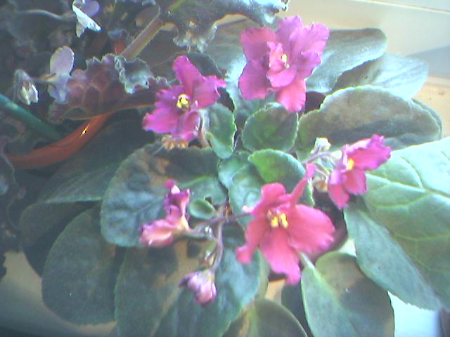 10-05-06_1737.jpg