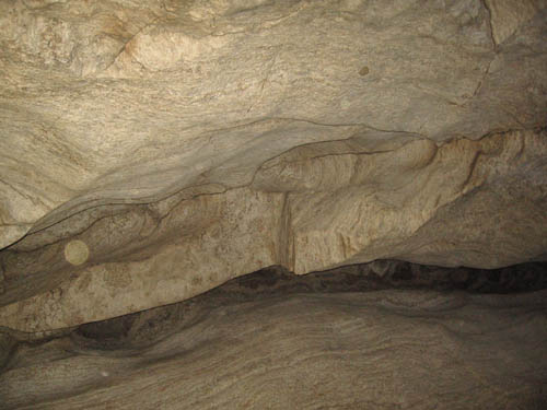 IMG_1662.jpg
