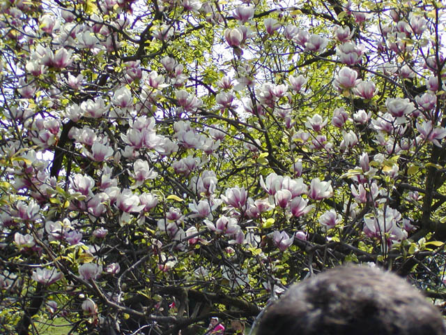P1010017.JPG