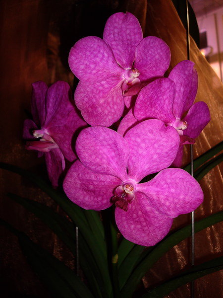 DSC08930 ум.jpg